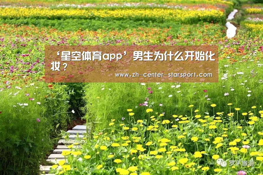 星空体育app