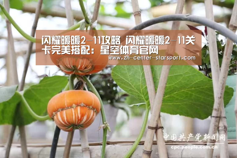闪耀暖暖2-11攻略 闪耀暖暖2-11关卡完美搭配:星空体育官网